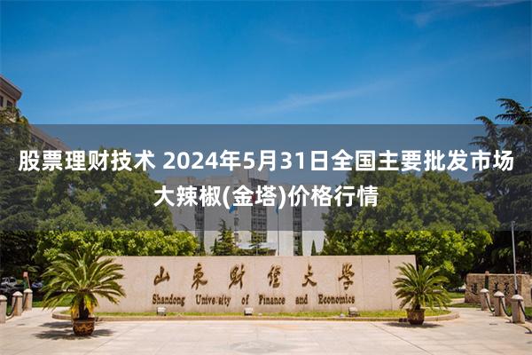 股票理财技术 2024年5月31日全国主要批发市场大辣椒(金塔)价格行情