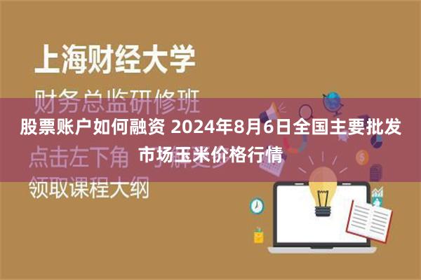 股票账户如何融资 2024年8月6日全国主要批发市场玉米价格行情