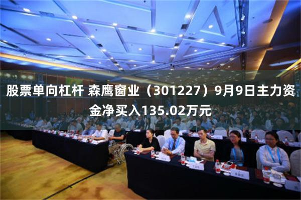 股票单向杠杆 森鹰窗业（301227）9月9日主力资金净买入135.02万元