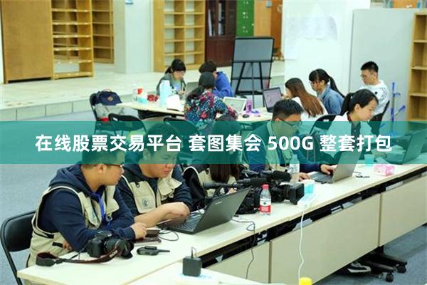 在线股票交易平台 套图集会 500G 整套打包