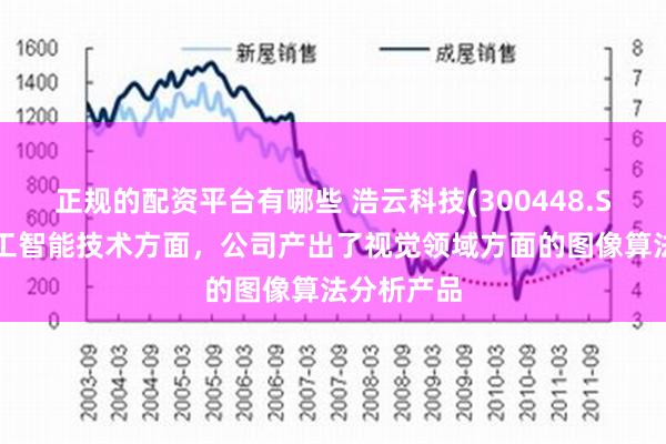 正规的配资平台有哪些 浩云科技(300448.SZ)：在人工智能技术方面，公司产出了视觉领域方面的图像算法分析产品