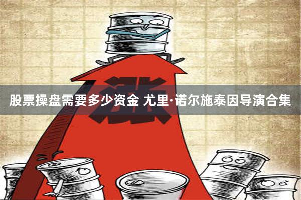 股票操盘需要多少资金 尤里·诺尔施泰因导演合集