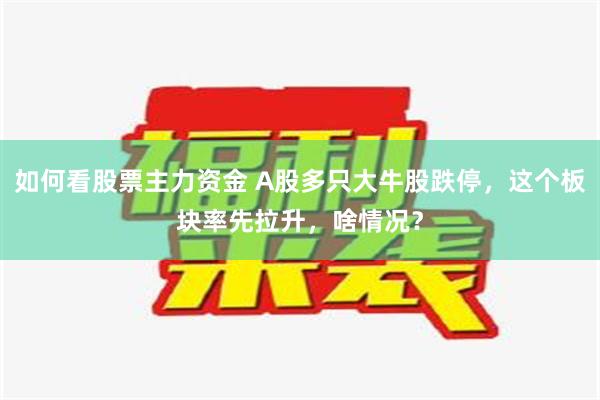 如何看股票主力资金 A股多只大牛股跌停，这个板块率先拉升，啥情况？