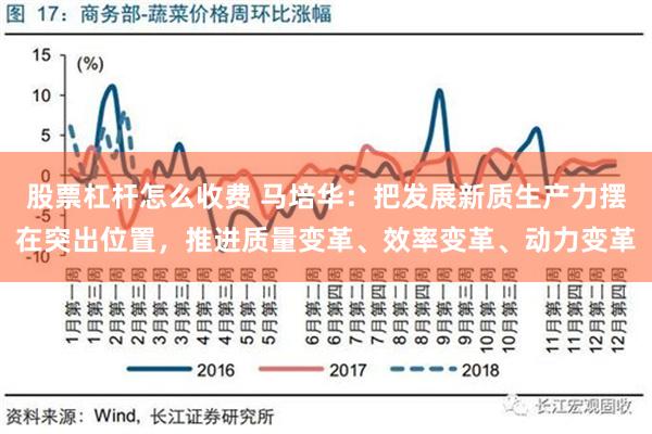 股票杠杆怎么收费 马培华：把发展新质生产力摆在突出位置，推进质量变革、效率变革、动力变革