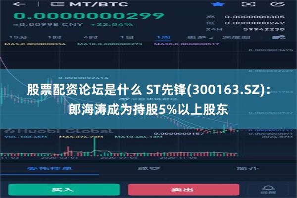 股票配资论坛是什么 ST先锋(300163.SZ)：郎海涛成为持股5%以上股东