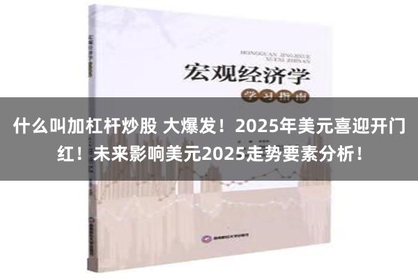 什么叫加杠杆炒股 大爆发！2025年美元喜迎开门红！未来影响美元2025走势要素分析！