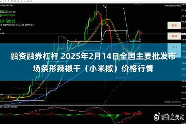 融资融券杠杆 2025年2月14日全国主要批发市场条形辣椒干（小米椒）价格行情