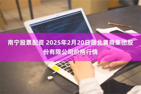 南宁股票配资 2025年2月20日湖北黄商集团股份有限公司价格行情