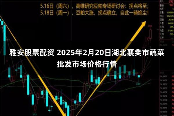 雅安股票配资 2025年2月20日湖北襄樊市蔬菜批发市场价格行情