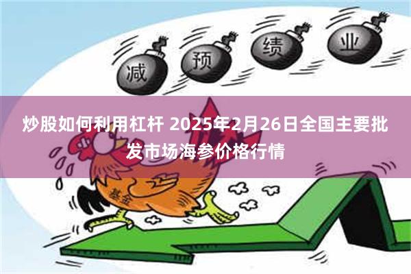 炒股如何利用杠杆 2025年2月26日全国主要批发市场海参价格行情